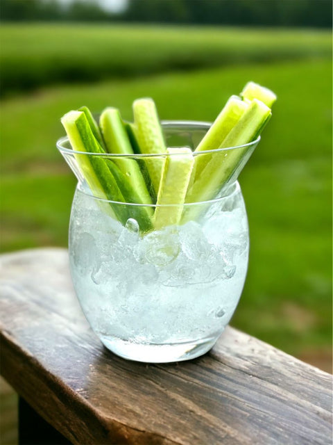 Eat, Drink, and Design Martini Chiller,600ml- Set 1 Pc
