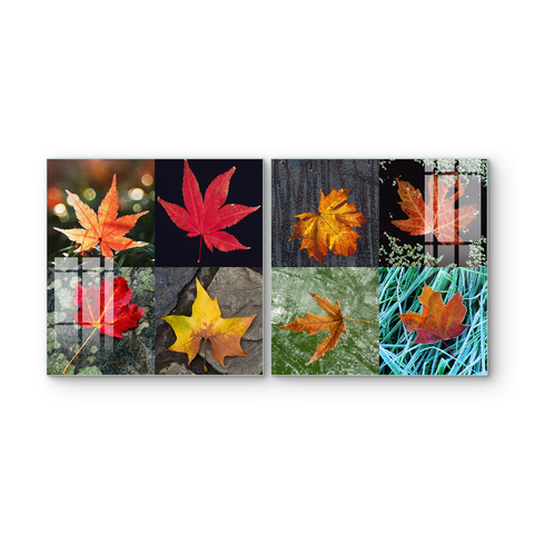 Beautiful Multiple Frame Colorful Wall Painting for Living Room: Multicolor Maple modular Leaf Arts